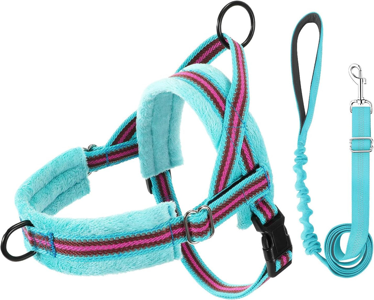 Small Dog Harness and Leash Set, No Pull Soft Padded Vest
