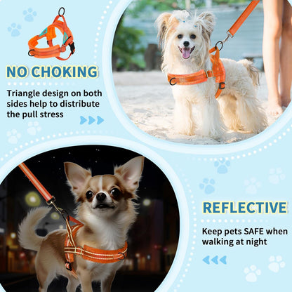 Small Dog Harness and Leash Set, No Pull Soft Padded Vest