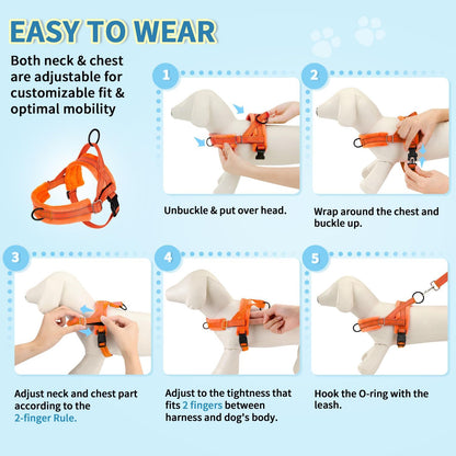 Small Dog Harness and Leash Set, No Pull Soft Padded Vest