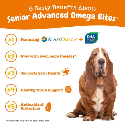 Salmon Oil for Dogs - Skin & Coat Chews, Salmon