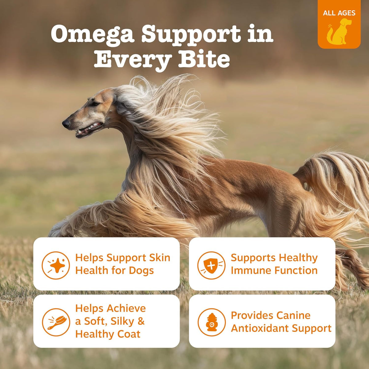 Salmon Oil for Dogs - Skin & Coat Chews, Salmon
