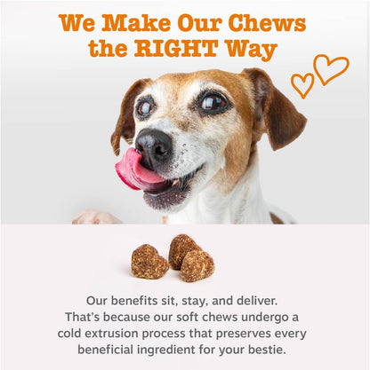 Salmon Oil for Dogs - Skin & Coat Chews, Salmon
