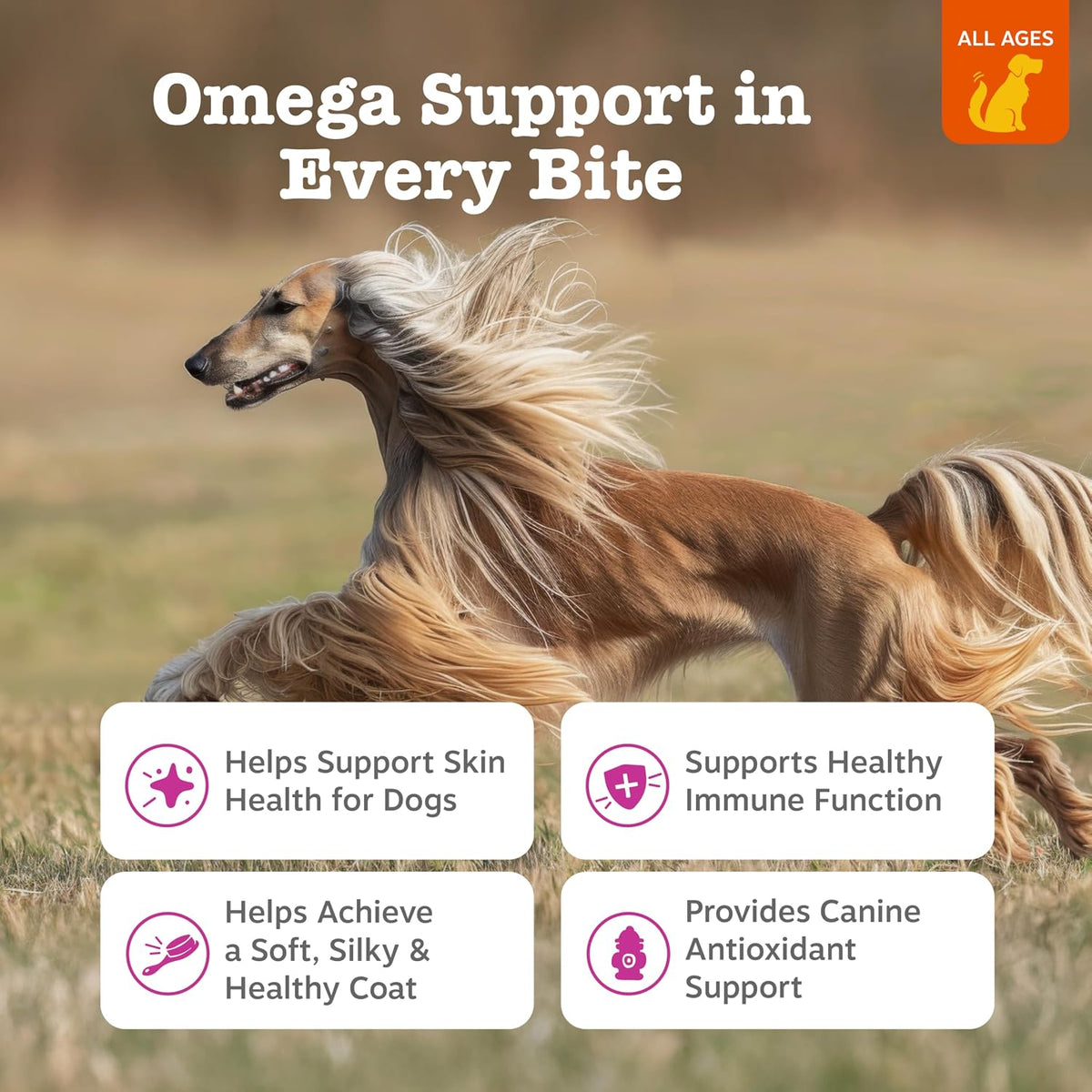 Salmon Oil for Dogs - Skin & Coat Chews, Salmon