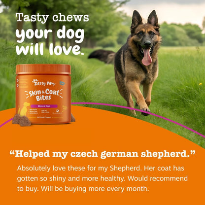 Salmon Oil for Dogs - Skin & Coat Chews, Salmon