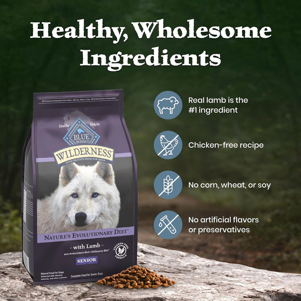 Blue Buffalo Wilderness Lamb & Wholesome Grains Senior Dry Dog Food, 4.5 lb