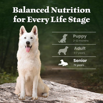Blue Buffalo Wilderness Lamb & Wholesome Grains Senior Dry Dog Food, 4.5 lb