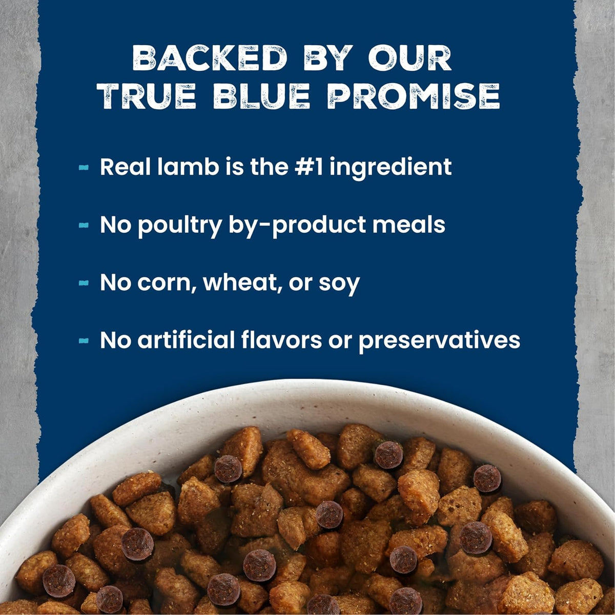 Blue Buffalo Wilderness Lamb & Wholesome Grains Senior Dry Dog Food, 4.5 lb