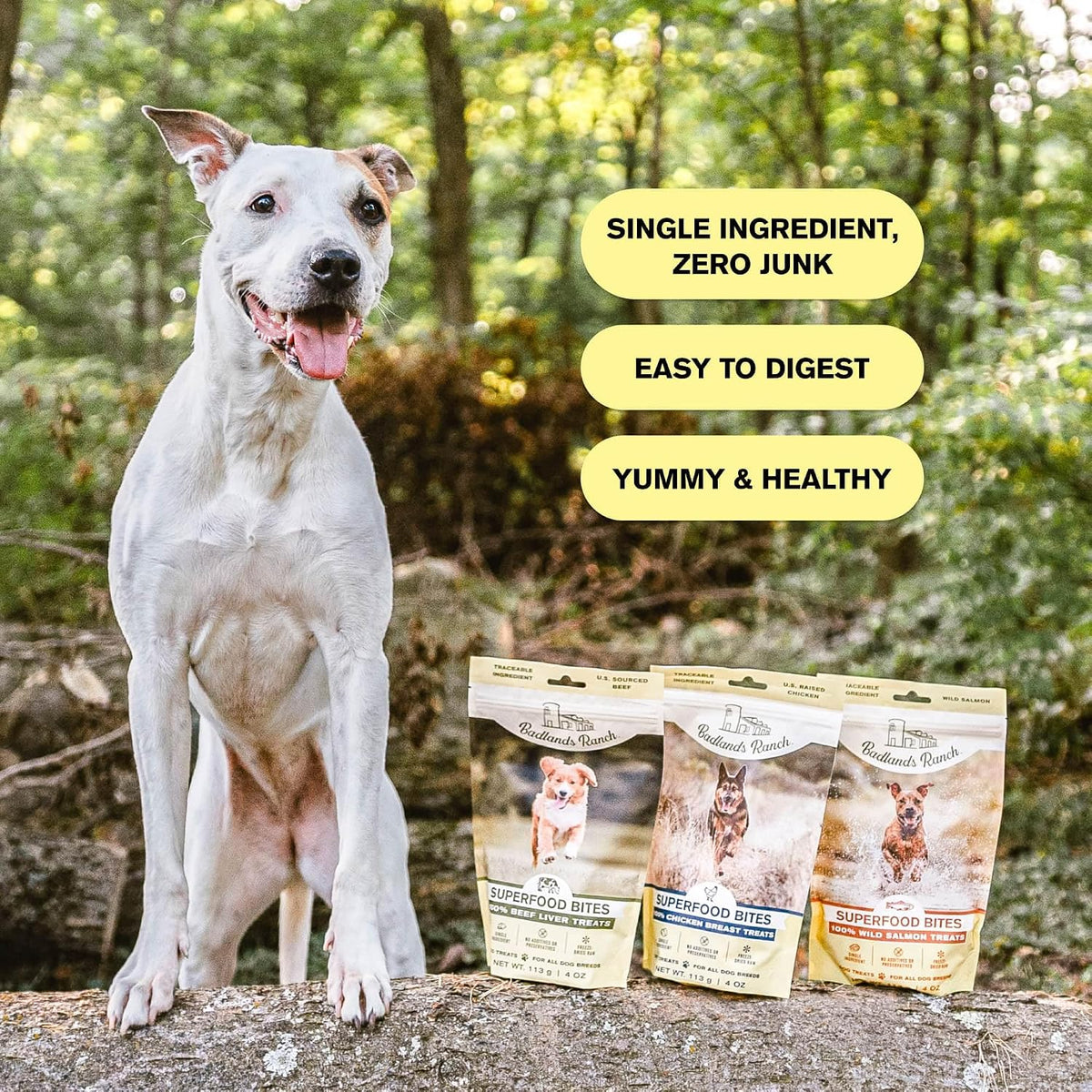 Superfood Bite Freeze-Dried Beef Liver Dog Treats, 4 oz