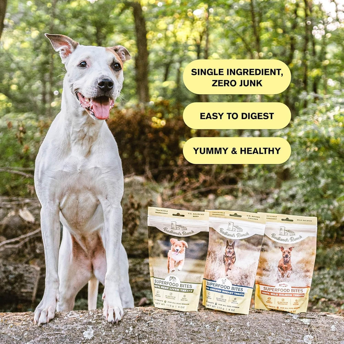 Superfood Bite Freeze-Dried Beef Liver Dog Treats, 4 oz