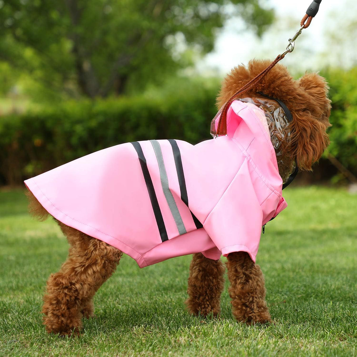 Reflective Dog Raincoat Dog Rain Jacket with Hood Lightweight Waterproof Rain Coat for Puppies (Blue M)
