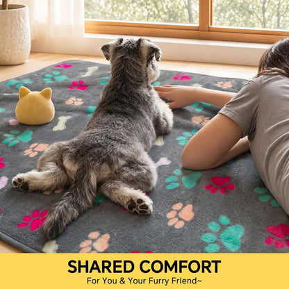 1 Pack 3 Blankets Fluffy Premium Fleece Pet Blanket Flannel Paw Printed Throw for Dog Cat(Small 23x16'', Grey/Brown/Blue)