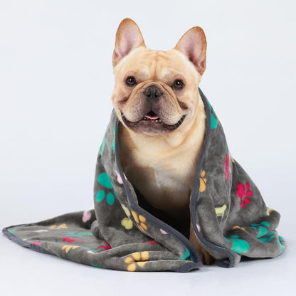 1 Pack 3 Blankets Fluffy Premium Fleece Pet Blanket Flannel Paw Printed Throw for Dog Cat(Small 23x16'', Grey/Brown/Blue)