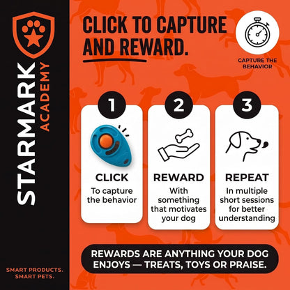 Pro-Training Clicker for Dogs