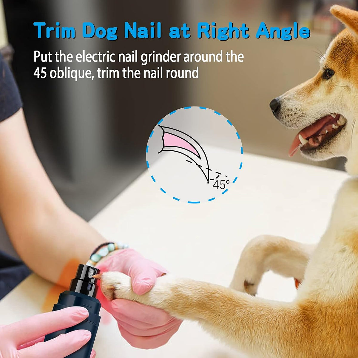Dog Nail Grinder Upgraded - Professional 2-Speed Whisper-Quiet Electric Pet Nail Trimmer Painless Paws Grooming & Smoothing for Small Medium Large Dogs & Cats (Dark Blue)