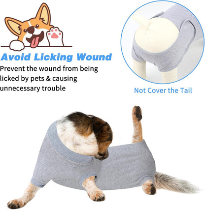 2 Pack Dog Recovery Suit for After Neuter Spay Wounds Protector