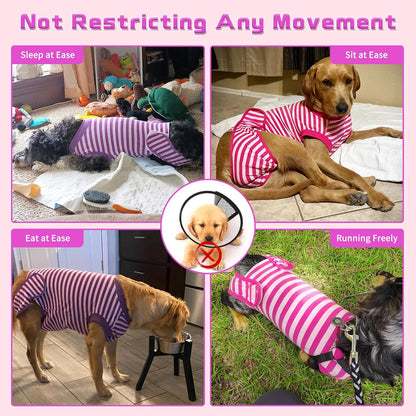 2 Pack Dog Recovery Suit for After Neuter Spay Wounds Protector