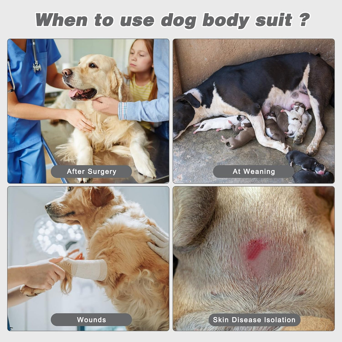 2 Pack Dog Recovery Suit for After Neuter Spay Wounds Protector