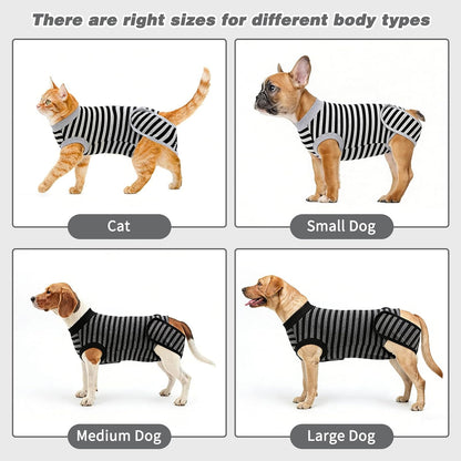 2 Pack Dog Recovery Suit for After Neuter Spay Wounds Protector