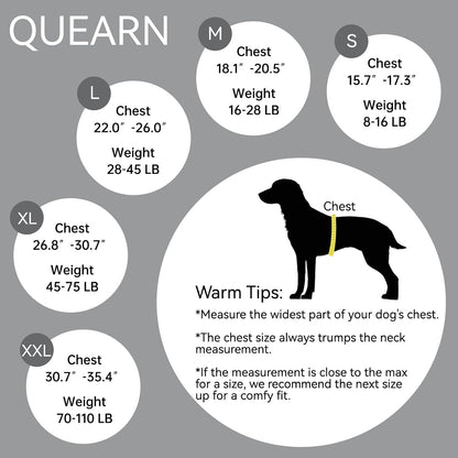 2 Pack Dog Recovery Suit for After Neuter Spay Wounds Protector