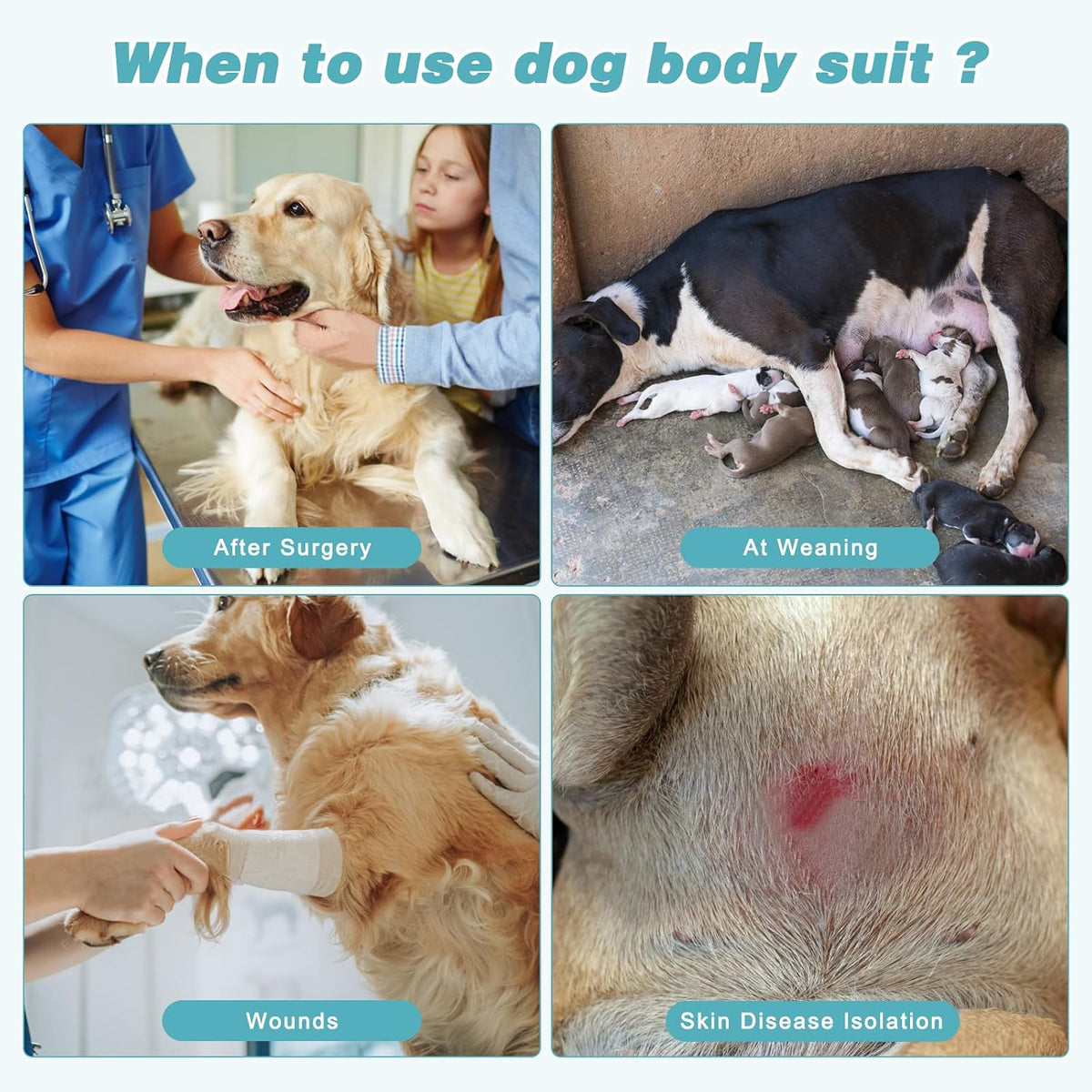 2 Pack Dog Recovery Suit for After Neuter Spay Wounds Protector