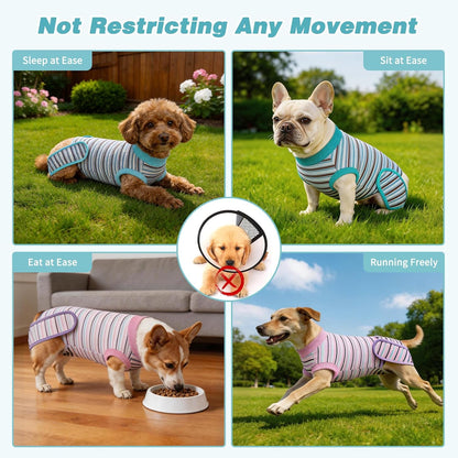 2 Pack Dog Recovery Suit for After Neuter Spay Wounds Protector