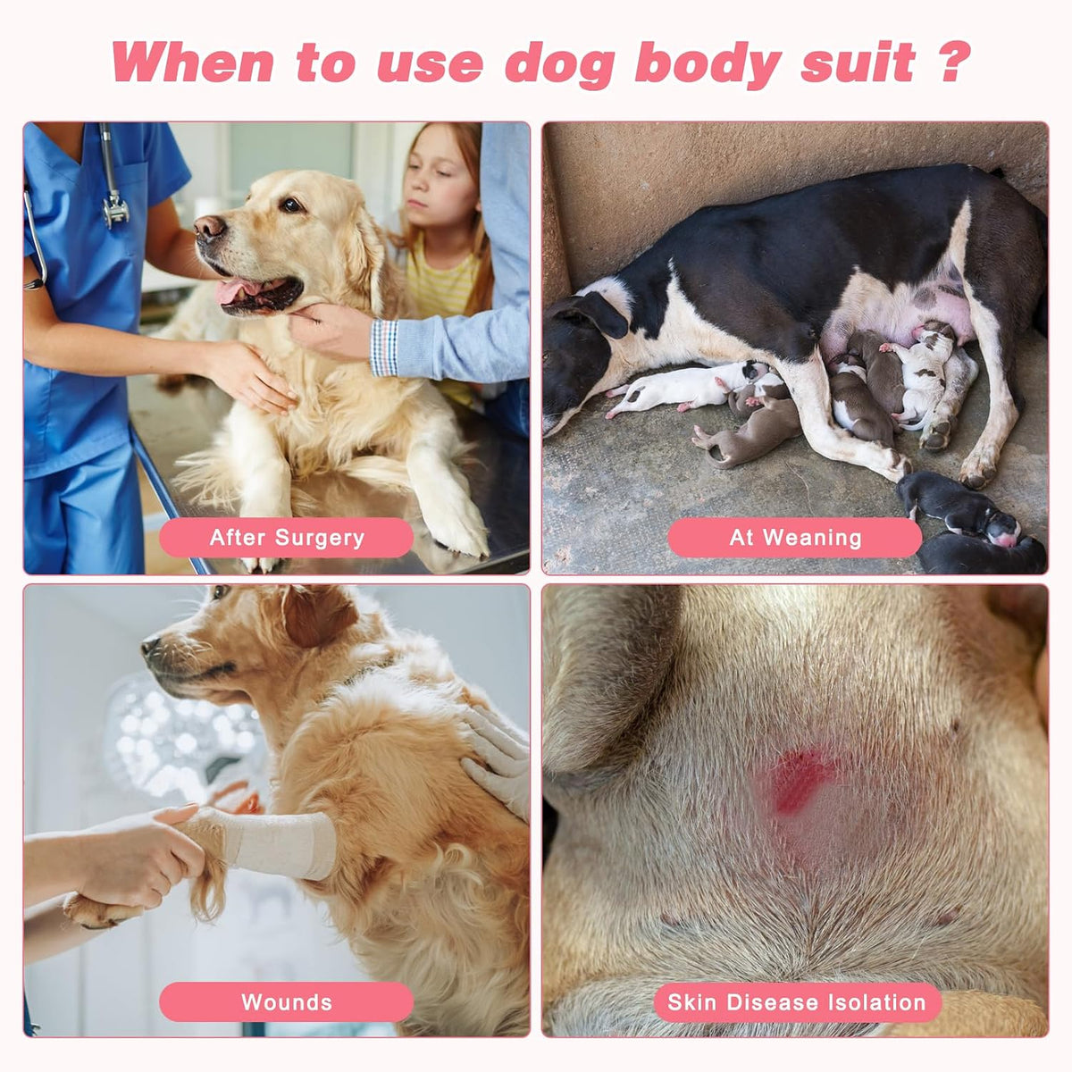 2 Pack Dog Recovery Suit for After Neuter Spay Wounds Protector