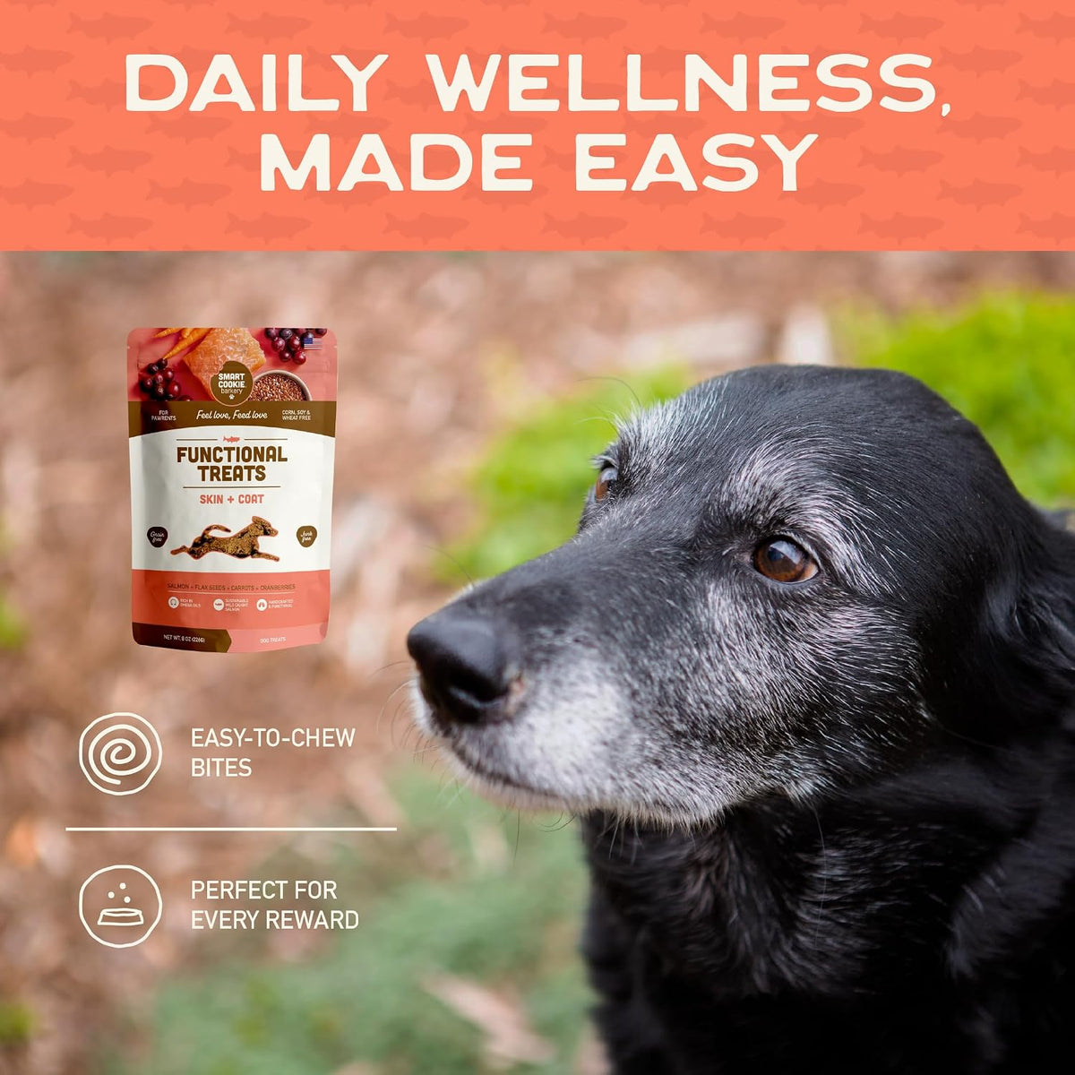 Smart Cookie All Natural Dog Treats - Healthy Skin & Coat Salmon Dog Treats - Ideal for Sensitive Stomachs or Itchy, Allergic, Dry Skin - Dehydrated, Crunchy, Human-Grade, Made in USA - 8oz, Pack of 1