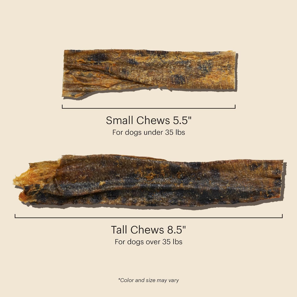 Wishes White Fish Filets Dog Treats, Human Grade Single Ingredient Dehydrated Fish Chews, High Protein Limited Ingredient Training Treats for Dogs, 3 oz