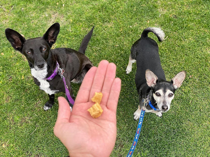 Redbarn-All-Natural Air-Dried Training Treats for Puppies and Dogs - Delicious Beef & Chicken Flavors - Grain-Free Single Protein Rewards for Small, Medium, & Large Breeds (8oz Each, 4 Bags Total)