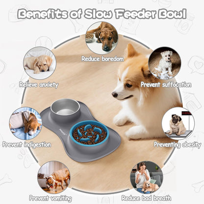 Dog Food and Water Bowl Set 3 in 1, Slow Feeder Dog Bowls & Stainless Steel Water Bowl with Non-Spill Silicone Mat, Cat and Puppy Bowls Pet Dishes for Small Medium Large Breed Anti-Choking