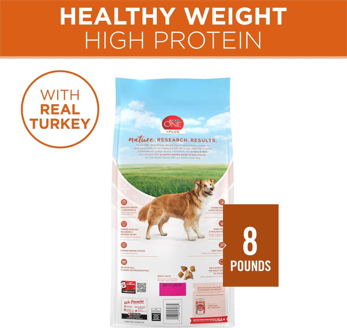 Plus Healthy Weight Dry Dog Food, Real Turkey, 8 lb Bag