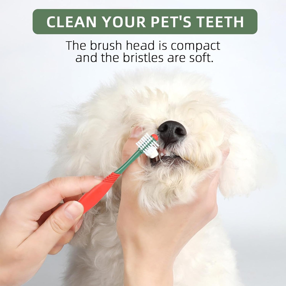 Dog Toothbrush and Toothpaste Kit Beef Dog Toothpaste(70g) | Nylon Bristles,360° Double-Head Dog Toothbrush TPR Overmolded Handle,Dog Tooth Brushing Kit,Pet Dental Care Kit for Dogs&Cats