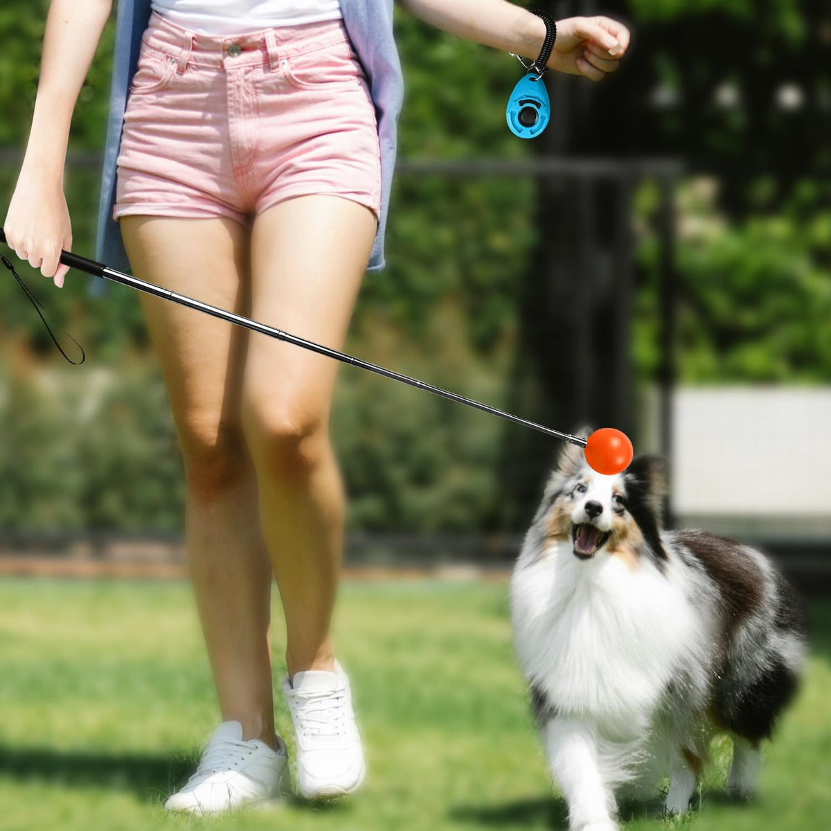 Training Kit - 1 Target Stick, 1 Training Clicker, 1 Whistle - Dog Training Equipment Tools, Cat Toilet Trainer Kit, Agility Training Lure Course For Dogs, Kitten Puppy Behavior Aids Trick (B Type)