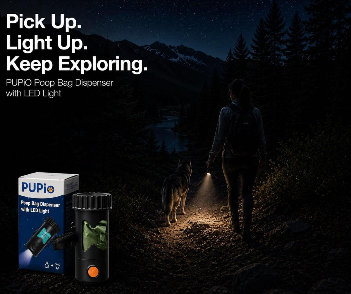 Poop Bag Holder With Flashlight - USB-C Rechargeable, No Need to Replace Batteries! Includes 15 Eco-Friendly Poop Bags, Charging Cable, and Leash Straps