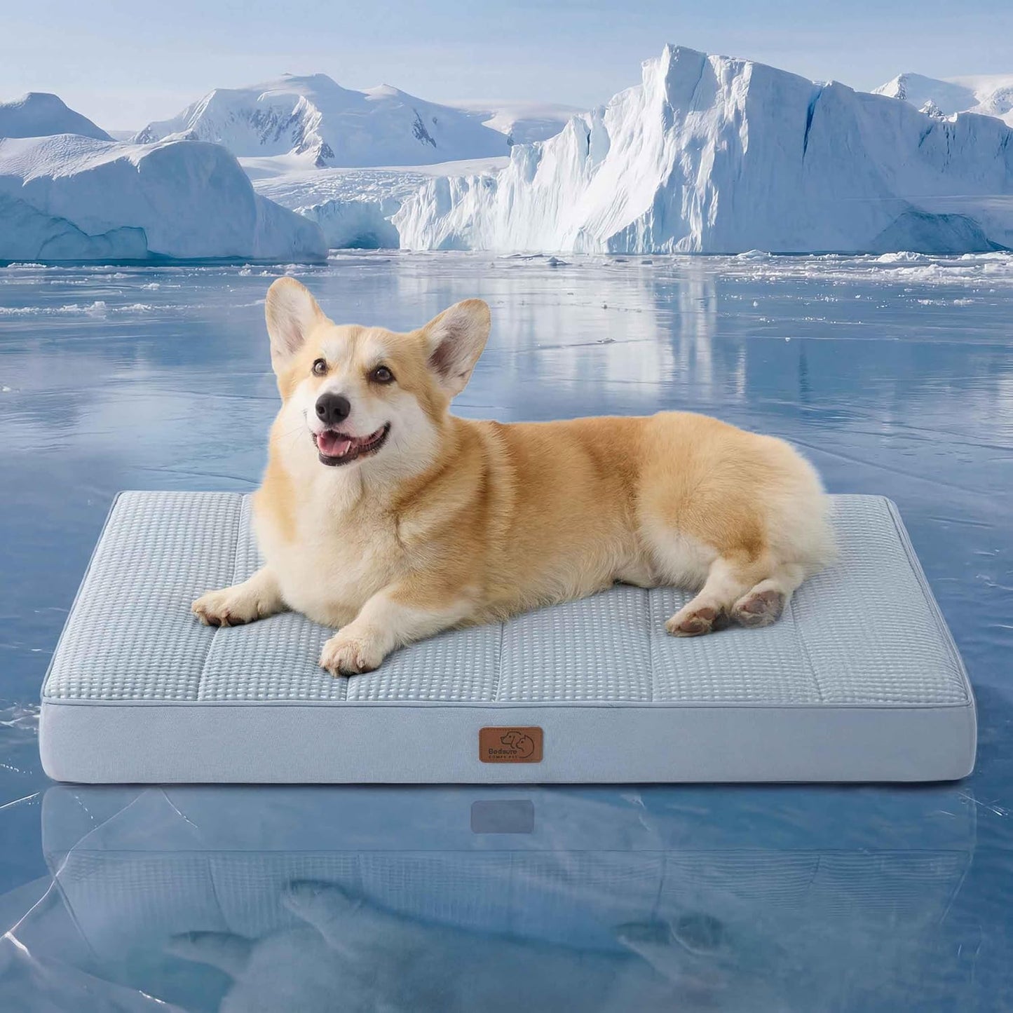 Bedsure Dog Beds Large Sized Dog - Comfy Flat Pet Beds with Removable Washable Cover, Orthopedic Egg Crate Foam Puppy Mat, Suitable for Pet Up to 65 lbs