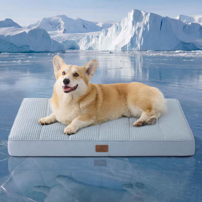 Bedsure Dog Beds Large Sized Dog - Comfy Flat Pet Beds with Removable Washable Cover, Orthopedic Egg Crate Foam Puppy Mat, Suitable for Pet Up to 65 lbs