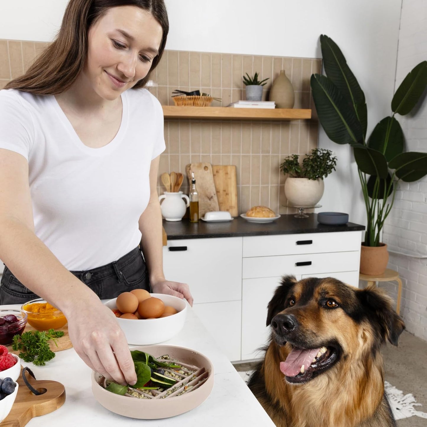 Should We Go? Slow Feeder for Dogs & Puppies, The Slowdown Bowl Silicone Slow Eating, Modern Lick Mat Design, Reduces Gulping, Fits 2 Cups, 7.5” Across x 1.5” Tall, Mealtime Challenge, Medium-Blush