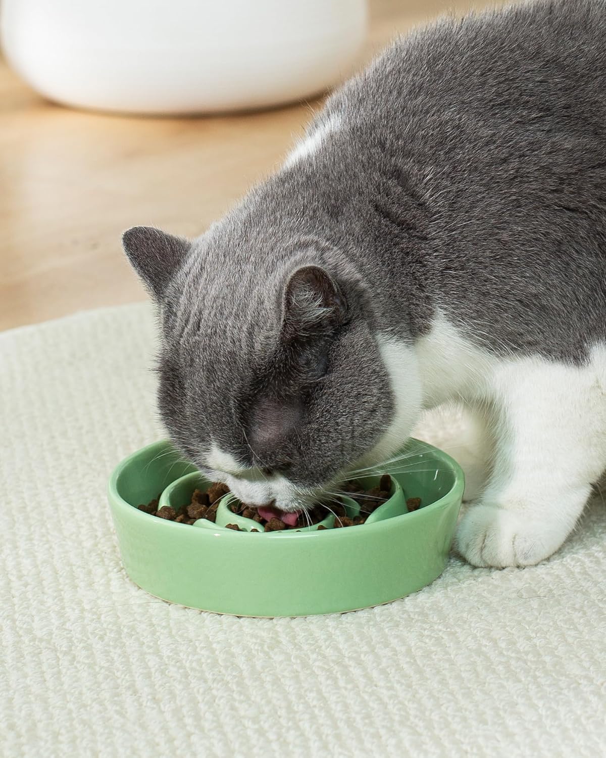 TRUVIC Ceramic Slow Feeder Dog Bowls Small Breed, 0.6 Cup Slow Feeder Cat Bowls for Fast Eaters, Ceramic Dog Food Dish no Black Chin, Puzzle Bowl for Small Dogs and Cats, White