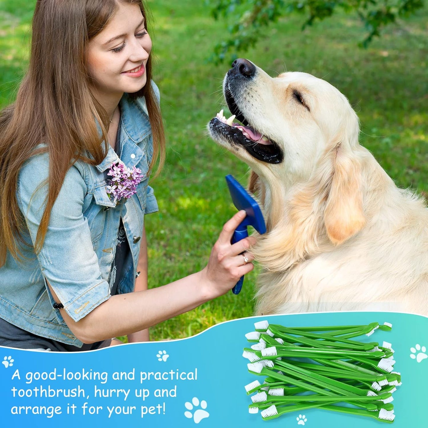Honeydak Dog Toothbrush Bulk Dual Headed Dental Brushes Dogs Tooth Brushing Kit Long Handle Pet Tooth Brush for Puppy Large Small Cats and Most Pets Teeth Cleaning Dental Supplies(70 Pcs,Colorful)