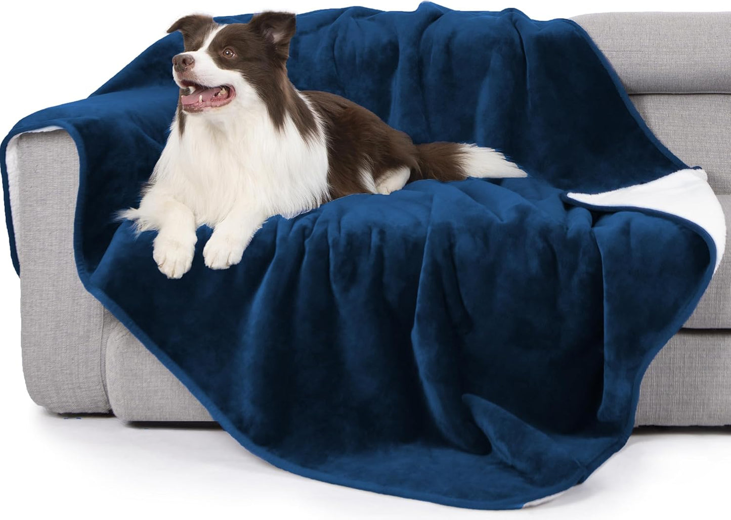 gogobunny Waterproof Blanket for Bed Couch Sofa, Liquid Pee and Fur Proof Pet Blanket for Dog Puppy Cat, Reversible Sherpa Fleece Throw Blanket Furniture Cover Protector (Grey, 50x60 inches)