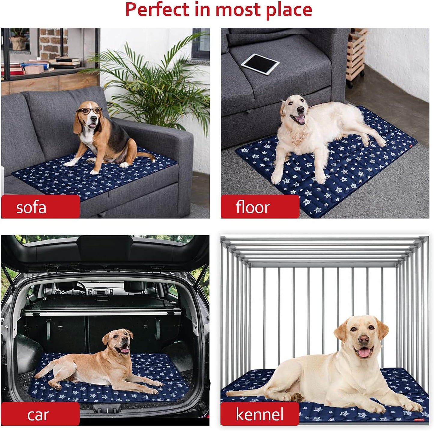Dog Crate Bed Mat (36" X 23"), Soft Dog Bed Mat with Cute Stars, Personalized Crate Pad, Anti-Slip Bottom, Machine Washable Kennel Pad