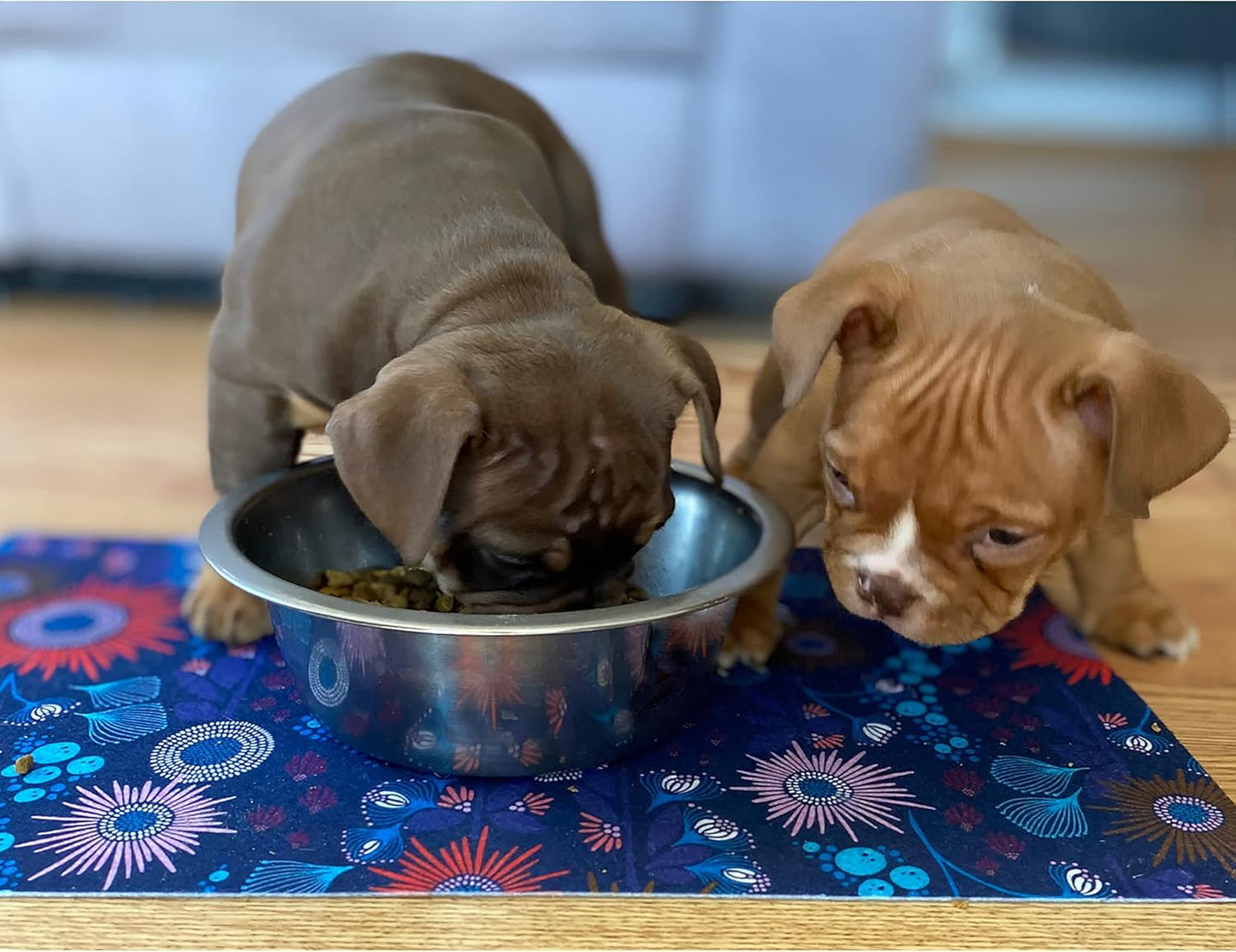 Drymate Pet Bowl Placemat, Dog & Cat Food Feeding Mat - Absorbent Fabric, Waterproof Backing, Slip-Resistant - Machine Washable/Durable (USA Made) (12” x 20”) (Indigo)