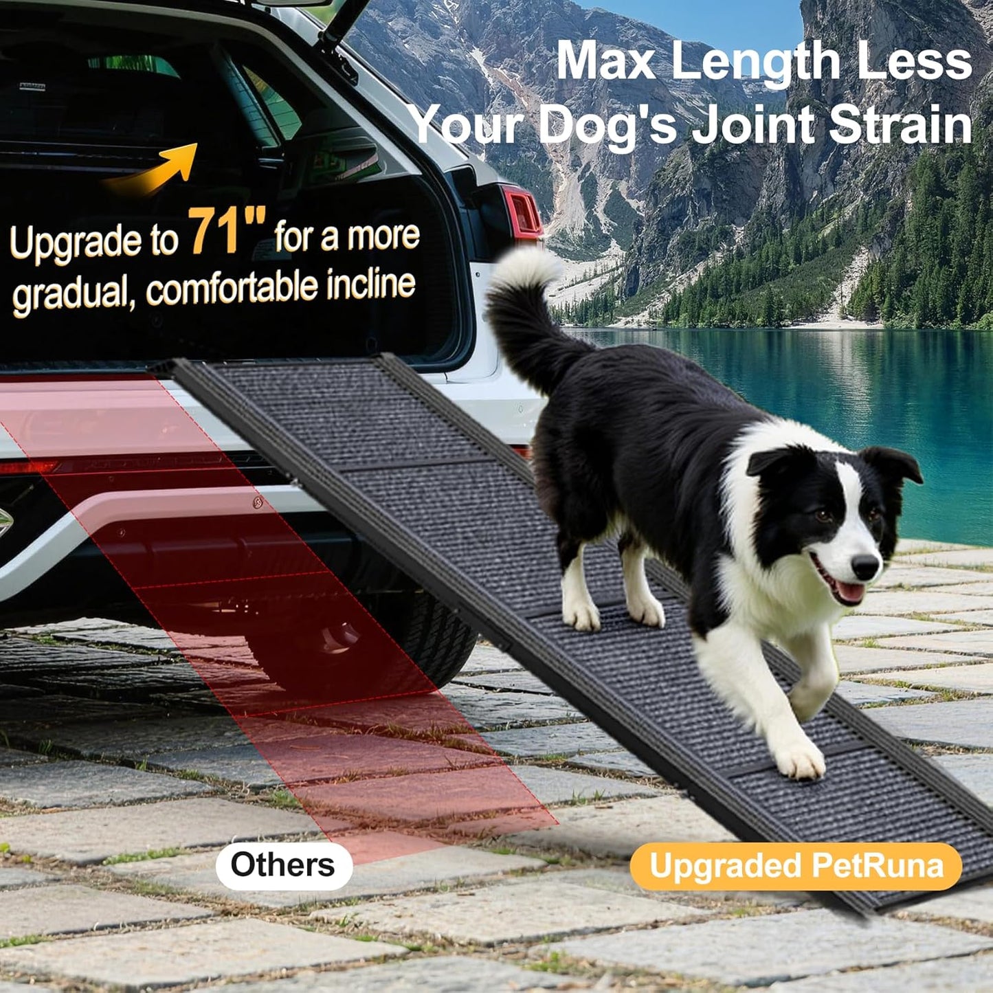 Dog Ramp for Car 63" Long & 17.3" Wide Portable Dog Ramps for Large Dogs with Non-Slip Rug Surface Dog Car Ramp for SUV Car & Truck, Folding Dog Ramp Up to 250LBS