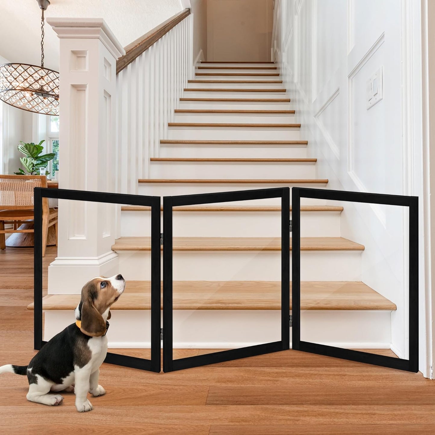 LZRS Clear Dog Gate for Indoor Use - Transparent Pet Fence with Solid Hardwood and Plastic Board, Stylish & Durable freestanding Pet Gate for Doorways, Stairs and Hallways-2 Panel Cherry