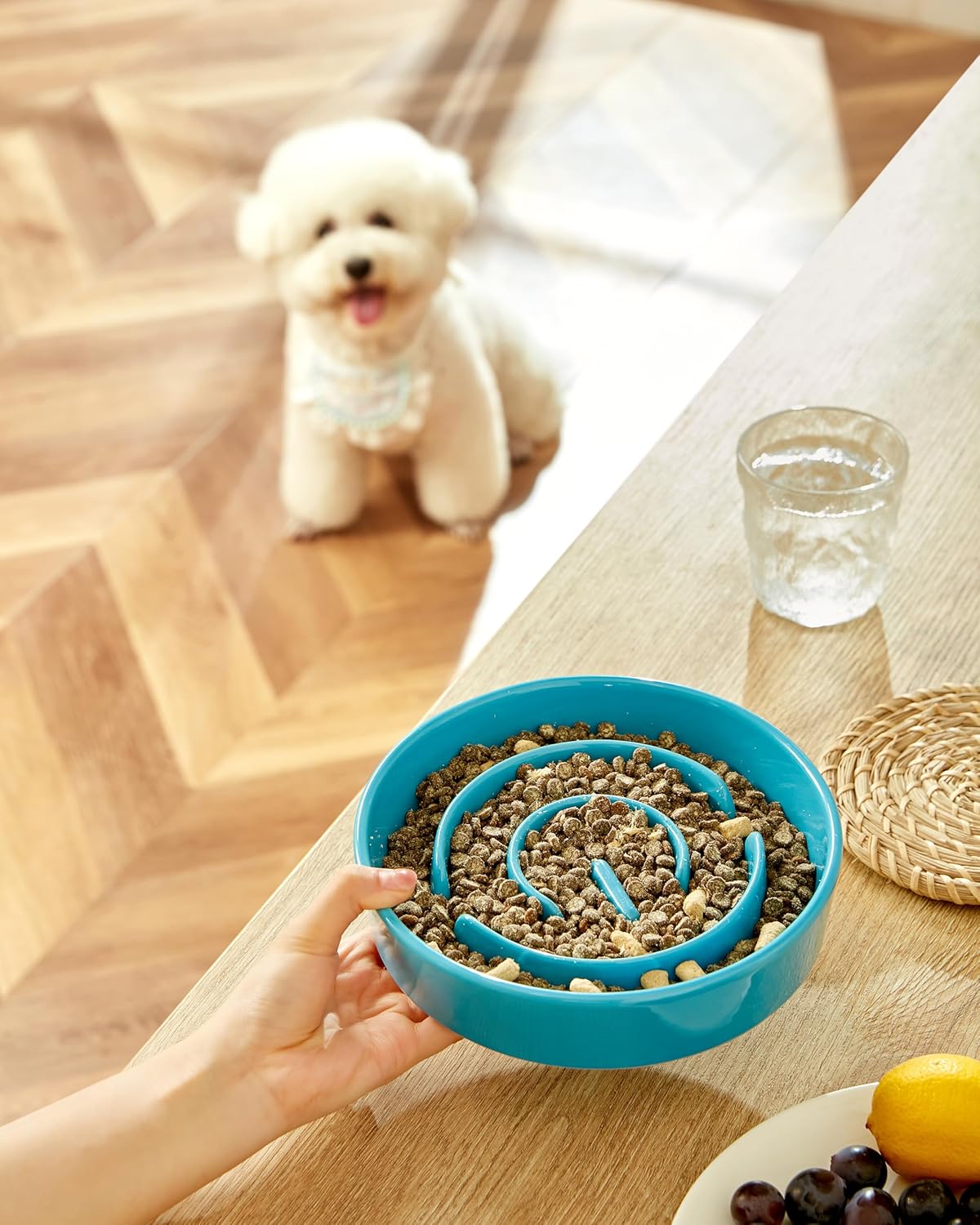 Ceramic Slow Feeder Dog Bowls, 2.0 Cups Slow Feeder for Medium Dogs, Puzzle Maze Bowl to Slow Down Eating, 30oz, 8in, White