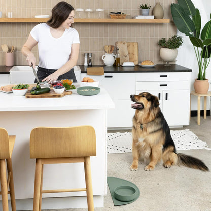 Should We Go? Dog Water Bowl - The Perfect Dish No-Spill, Less Mess Non-Tippable Water & Food Bowl, Pure Silicone with Suction Cup Fits 5 Cups 7.5" Across x 2.25" Tall, Ideal for All Pets, Medium-Sage