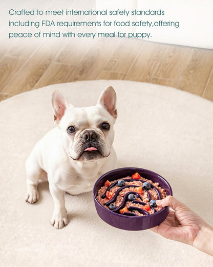 vancasso Slow Feeder Dog Bowl, 1.5 Cup Ceramic Slow Feeding Food Dish for Small and Medium Breed, Puzzle Dog Food Bowl for Fast Eater, Pink