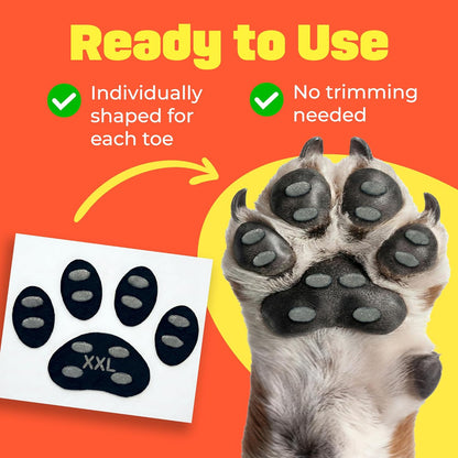 HASHI 24 Pcs Size XXL Pre-Cut Dog Paw Grips, Anti-Slip Traction Pads for Hardwood & Tile Floors, 6 Sets Self-Adhesive Pet Paw Protectors for Senior Dogs, Water-Resistant & Breathable