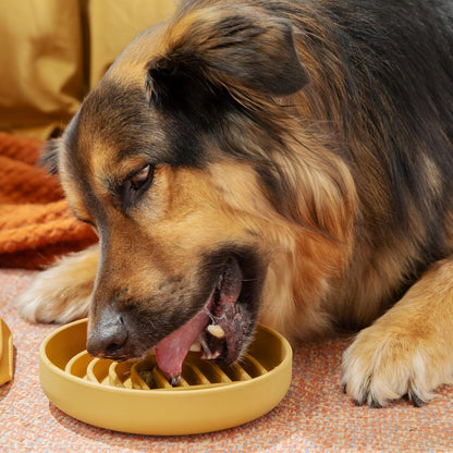 Should We Go? Slow Feeder for Dogs & Puppies, The Slowdown Bowl Silicone Slow Eating, Modern Lick Mat Design, Reduces Gulping, Fits 2 Cups, 7.5” Across x 1.5” Tall, Mealtime Challenge, Medium-Blush