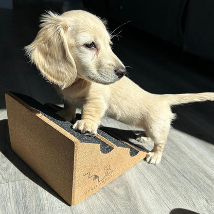 Original StairWedge™ - NEW Enhanced Tread Grip! Ramp for Small Dogs Breeds - Fits Standard Staircase - Wedge Shape Stair Ramp for Dogs and Pets - Multi-Patent Pending (1single)